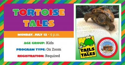 Tortoise Tales