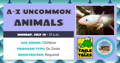 Uncommon Animals